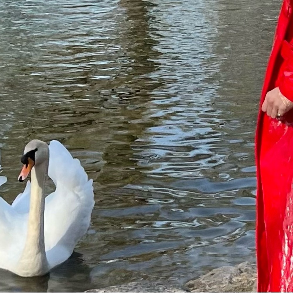 Vivetta Lacquer Red vinyl trench coat patent oversized latex rain trapeze Nerly - Picture 17 of 17